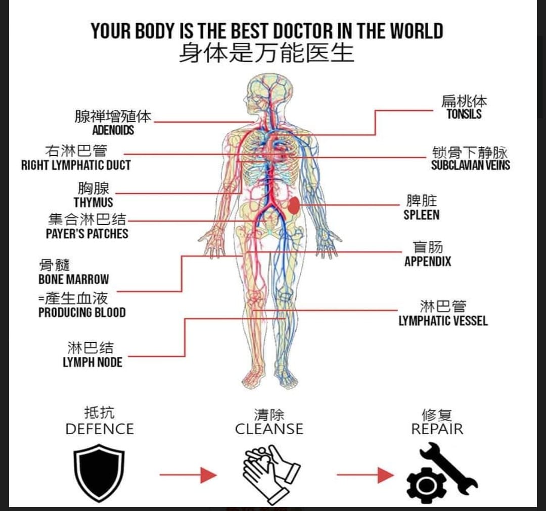 Your Body is the Best Doctor in the World